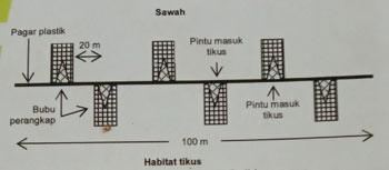 Gambar 6. Skema pemasangan LTBS di lapangan