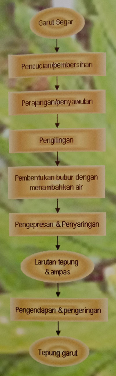 Bagan Alur pembuatan tepung garut