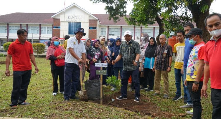 Penanaman serentak