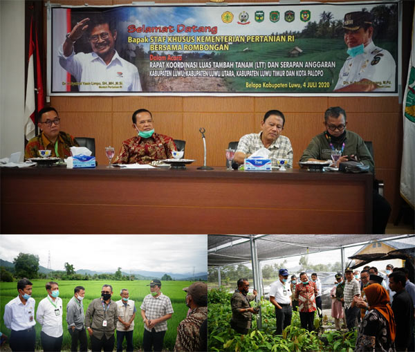 Inspektorat Jendral Kementan Gatot Irianto dan dan Bupati Luwu Raya Basmin Mattayang ,Tinjau Lokasi Pembibitan Kakao