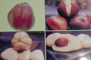 Buah Salak