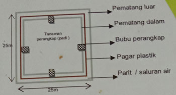 Gambar 4. Skema TBS