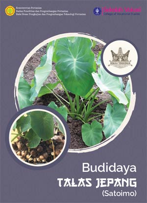 Budidaya Talas Jepang (Satoimo)