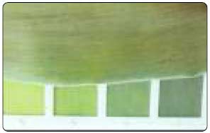 Warna Daun pada skala 5,0 tidak membutuhkan tambahan pupuk N (Urea)