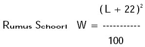 Sumus schoorl