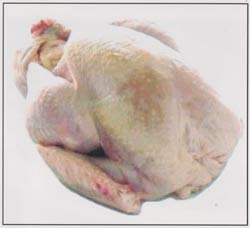 Daging Ayam