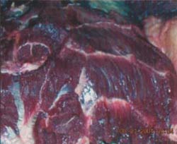 Daging Kerbau