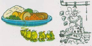 cara penularan salmonella