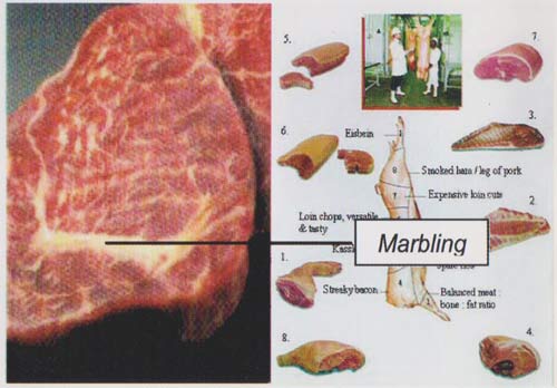 Kriteria menentukan kualitas daging