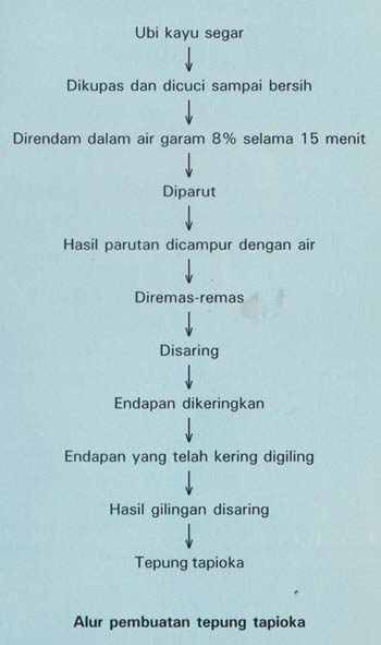 pembuatan tepung tapioka