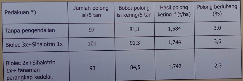 Keterangan : kedelai ditanam secara berelang seling di antara kacang tanah dengan populasi 5% dari populasi tanaman kacang tanah