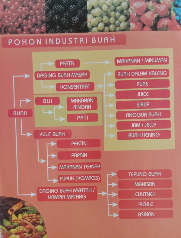pohon industri tanaman buah