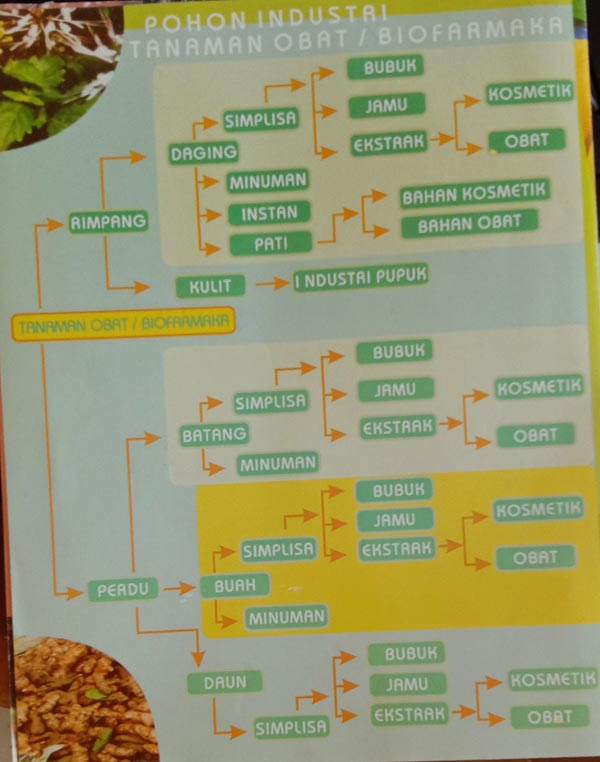 pohon industri tanaman obat / biofarmaka