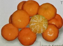 Jeruk Keprok SoE