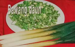 bawang daun