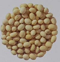 Varietas kedelai Dena 1