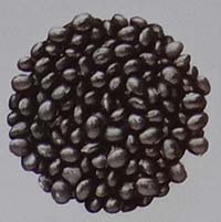 varietas detam 3 prida