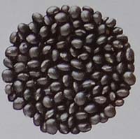 Varietas Detam 4 prida