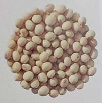 varietas kedelai gema