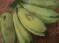 Pisang Kepok