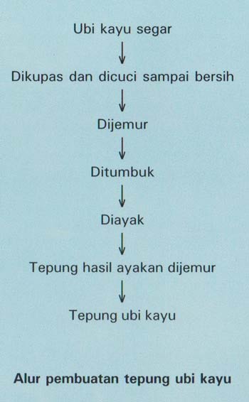 pembuatan tepung ubi kayu