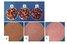 Kulit buah manggis kering (atas) dan tepung kulit buah manggis dengan perlakuan perendaman (bawah) dalam asam asetat 0,3% (a), natirum metabisulfit 0,3% (b), dan air (c)
